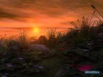 1229323017_landscape-34
