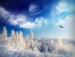 1229322979_landscape-55