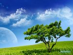 1229322957_landscape-49