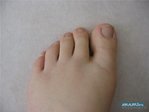 1228195659_photoshr.jpg