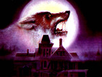 Wolf 2