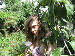 2007г.