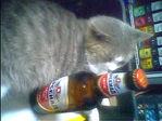 IMG0039A