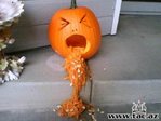 1279017056_1202314869_img_15