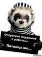 =)