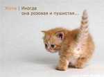 Изображение 003[1]