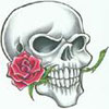 avatar_cherep12