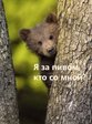 миска