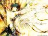 angel_sanctuary_417525[1]