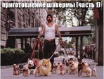 Шаверма