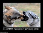 Demotivator_13