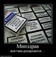гуси