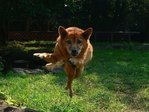 17_podborka_28