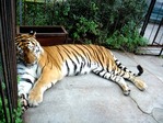 0_5634_b3007ea1_L.jpeg