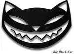 Big Black Cat