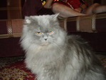моя коффечка)