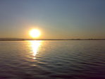 31072008019