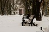 DSC_6971 копия