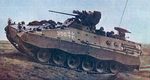 marder4