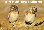 60496587[1]