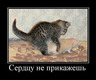 vtmPj0Iij0pSpn9ztbX4wSCPRZwZKLRPNP9wKCC81qA