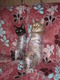 c2020f2-tumblr-m9vn5wkobh1ro4wexo1-400