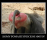 5ooWRFBVHzCexHZ5PqmQsHwCViQjF3w8u9FEl4JCLw