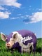 Milka Pig ^^