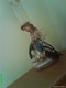 DSC00187