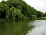 nature_185