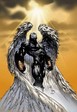 spawn-angel