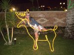 мой белый конь=) а прЫнц убежал.....