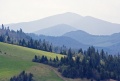 s_394313_834863_874778343_3