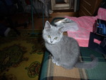 мелоч)