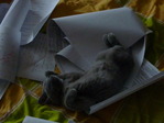 В моих чертижах)