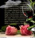 images (6)