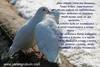 images (1)