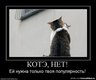 1260748383_630585_kote-net