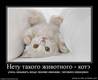 post-13-1262086520