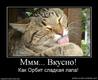 265798_mmm-vkusno
