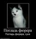 611820_poglad-fyurera