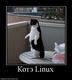673307_kote-linux