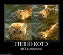 x_9a5da769