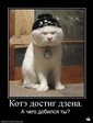 1263706288_842081_kotedostigdzena