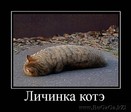 f2244ee0f6130da33eb8b92df15330dd