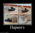 narkote