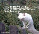 koshkina[1]