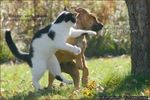 img_4987759_1418_0[1]