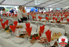 party picnic 32