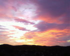 Photo-0095